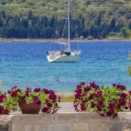 Okit A Vodice